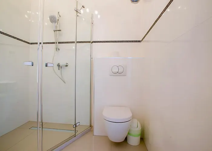 Daire Collins Center *