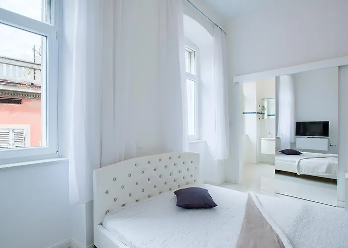 Collins Center 풀라